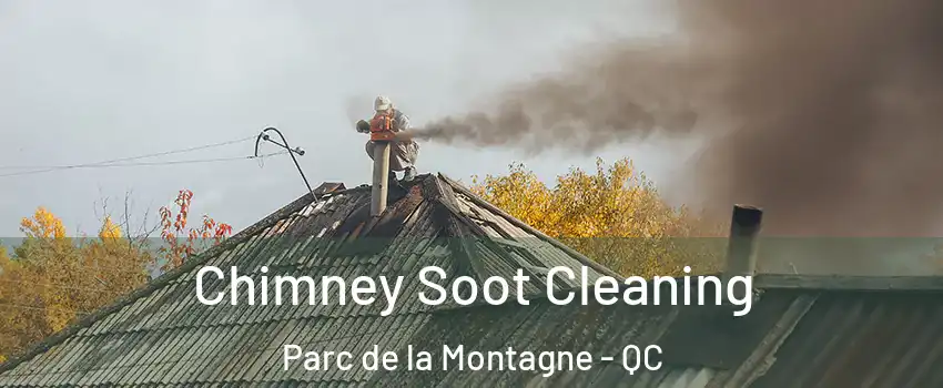  Chimney Soot Cleaning Parc de la Montagne - QC