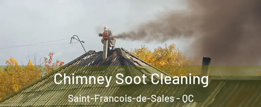  Chimney Soot Cleaning Saint-Francois-de-Sales - QC
