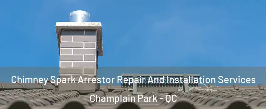  Chimney Spark Arrestor Repair And Installation Services Champlain Park - QC