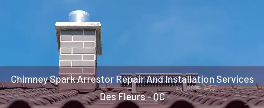  Chimney Spark Arrestor Repair And Installation Services Des Fleurs - QC