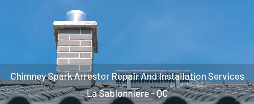  Chimney Spark Arrestor Repair And Installation Services La Sablonniere - QC