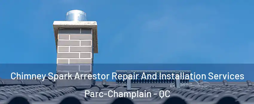  Chimney Spark Arrestor Repair And Installation Services Parc-Champlain - QC