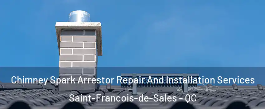  Chimney Spark Arrestor Repair And Installation Services Saint-Francois-de-Sales - QC