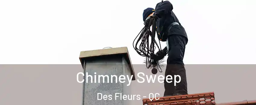  Chimney Sweep Des Fleurs - QC
