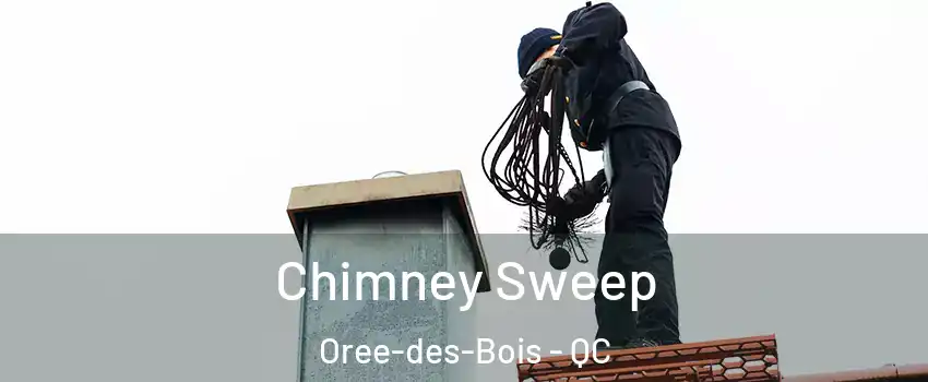  Chimney Sweep Oree-des-Bois - QC