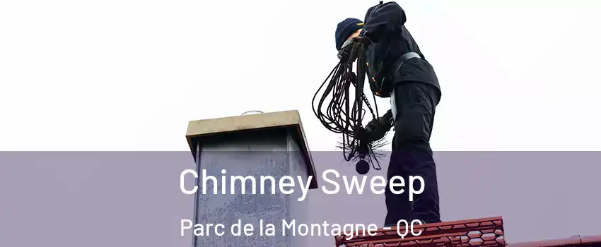  Chimney Sweep Parc de la Montagne - QC