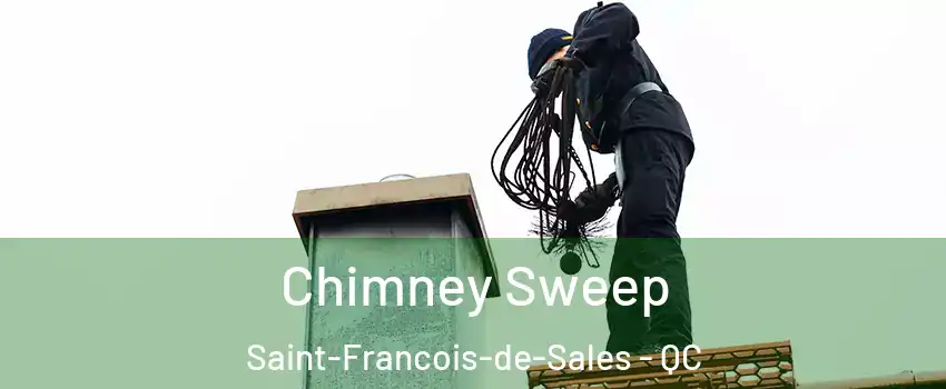 Chimney Sweep Saint-Francois-de-Sales - QC