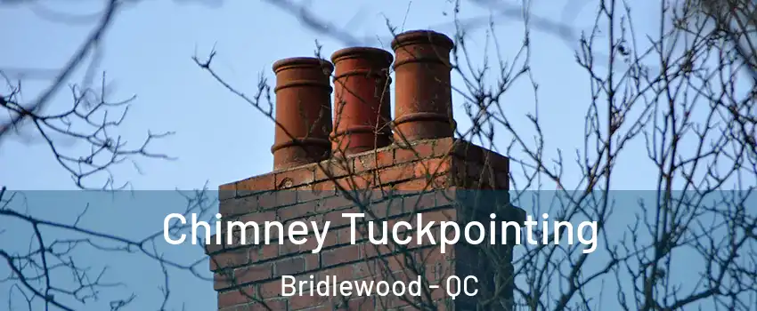  Chimney Tuckpointing Bridlewood - QC