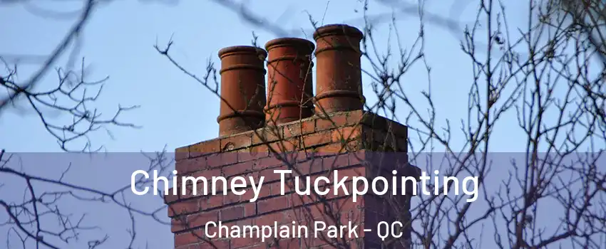  Chimney Tuckpointing Champlain Park - QC