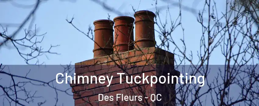  Chimney Tuckpointing Des Fleurs - QC