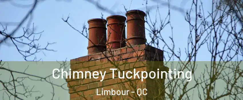 Chimney Tuckpointing Limbour - QC