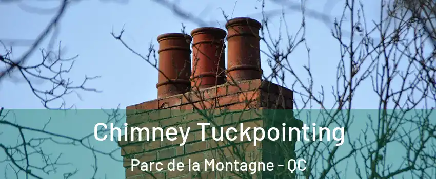  Chimney Tuckpointing Parc de la Montagne - QC