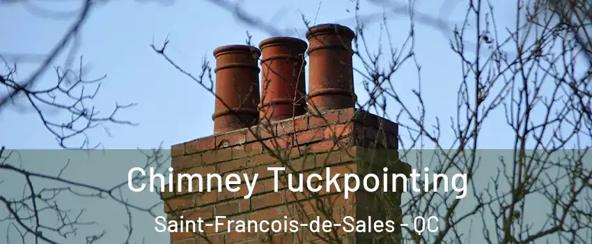  Chimney Tuckpointing Saint-Francois-de-Sales - QC