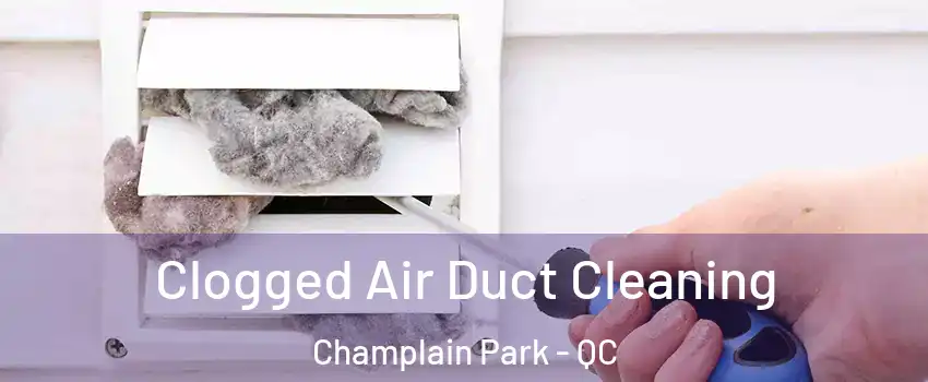  Clogged Air Duct Cleaning Champlain Park - QC