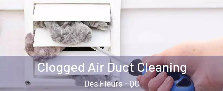  Clogged Air Duct Cleaning Des Fleurs - QC