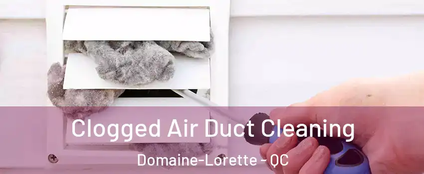  Clogged Air Duct Cleaning Domaine-Lorette - QC
