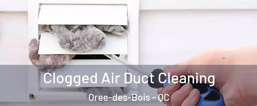  Clogged Air Duct Cleaning Oree-des-Bois - QC