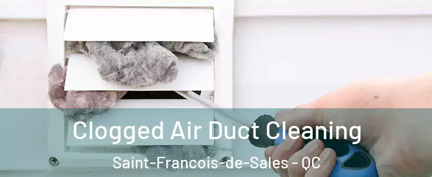  Clogged Air Duct Cleaning Saint-Francois-de-Sales - QC