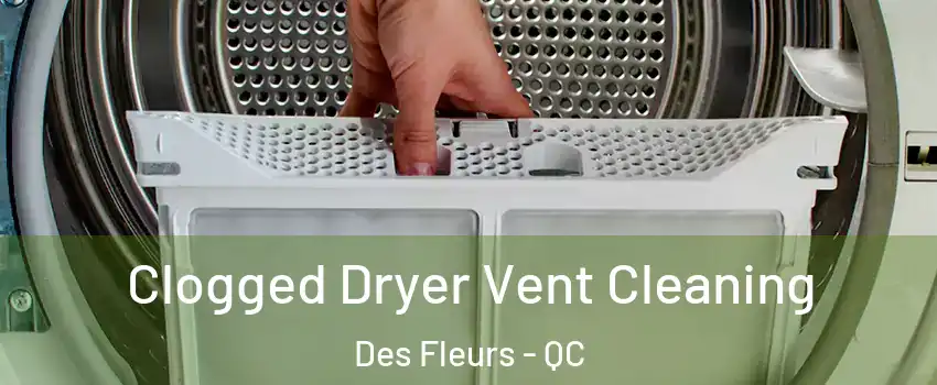  Clogged Dryer Vent Cleaning Des Fleurs - QC