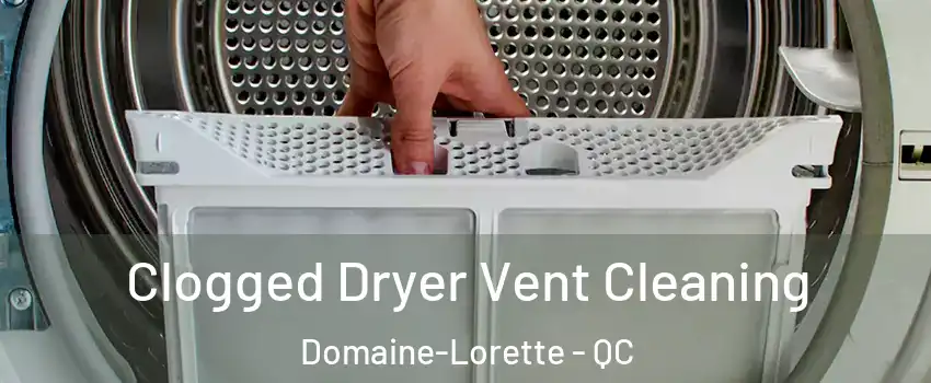  Clogged Dryer Vent Cleaning Domaine-Lorette - QC