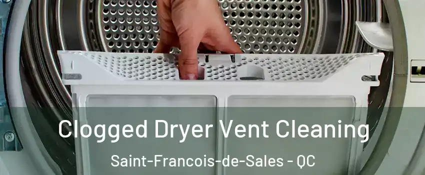  Clogged Dryer Vent Cleaning Saint-Francois-de-Sales - QC