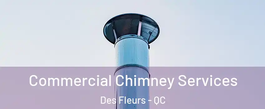  Commercial Chimney Services Des Fleurs - QC