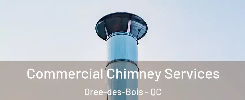  Commercial Chimney Services Oree-des-Bois - QC