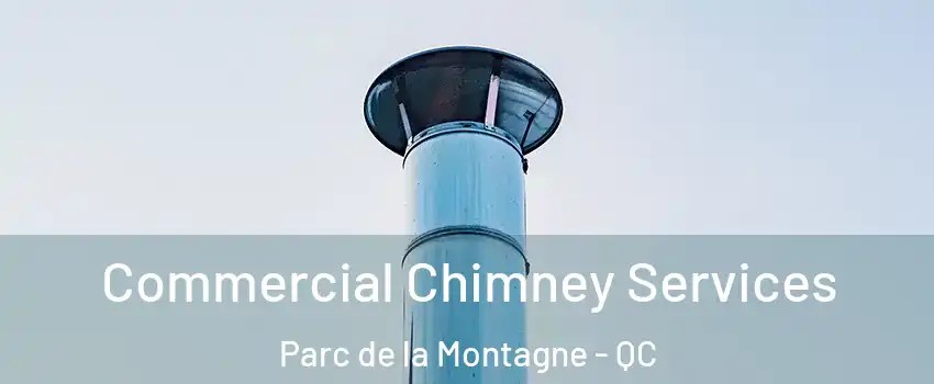 Commercial Chimney Services Parc de la Montagne - QC