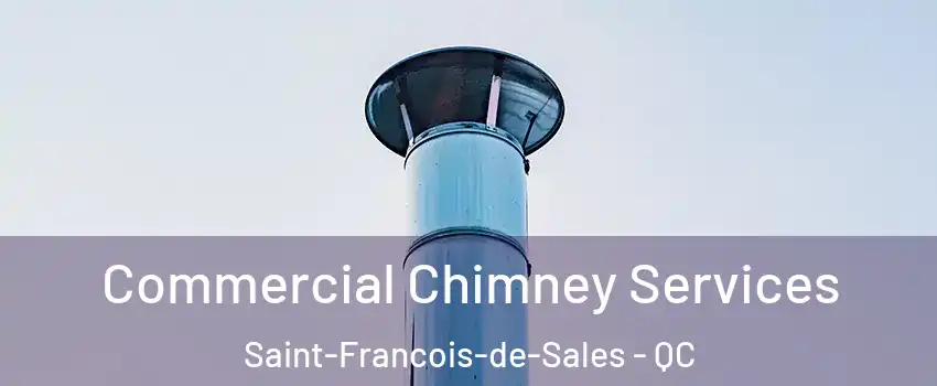  Commercial Chimney Services Saint-Francois-de-Sales - QC