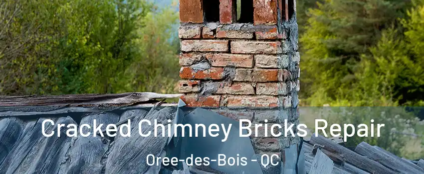  Cracked Chimney Bricks Repair Oree-des-Bois - QC