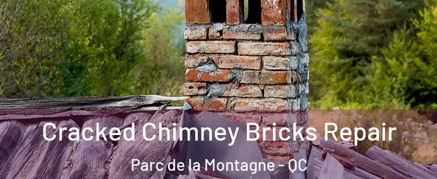  Cracked Chimney Bricks Repair Parc de la Montagne - QC