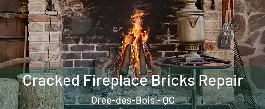  Cracked Fireplace Bricks Repair Oree-des-Bois - QC
