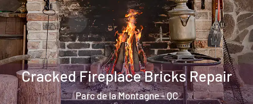  Cracked Fireplace Bricks Repair Parc de la Montagne - QC
