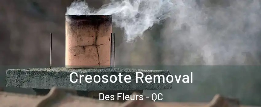  Creosote Removal Des Fleurs - QC