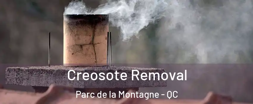  Creosote Removal Parc de la Montagne - QC
