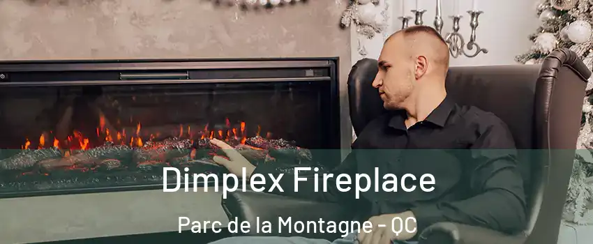  Dimplex Fireplace Parc de la Montagne - QC