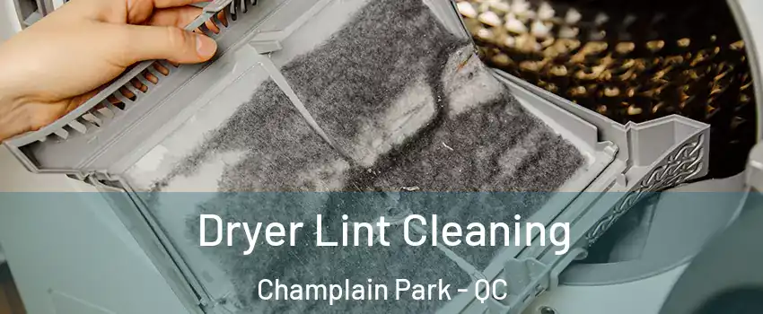 Dryer Lint Cleaning Champlain Park - QC