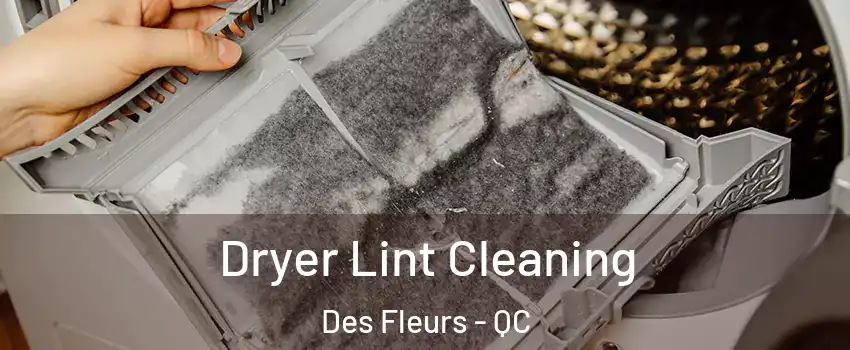  Dryer Lint Cleaning Des Fleurs - QC