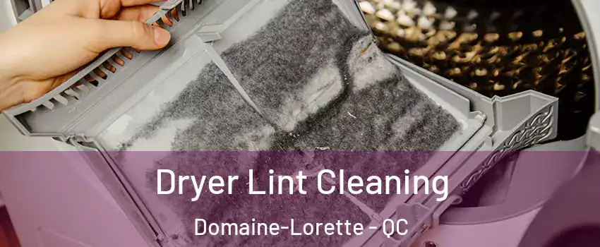  Dryer Lint Cleaning Domaine-Lorette - QC