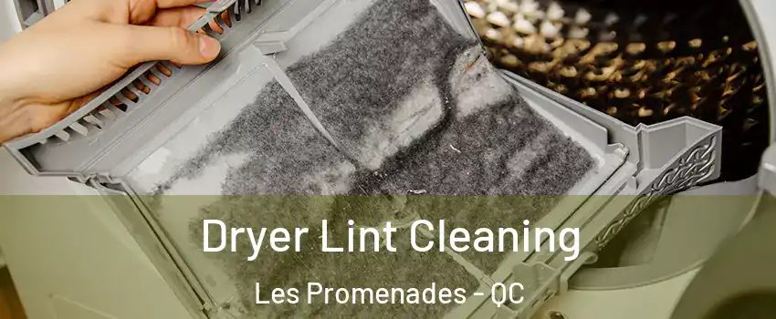  Dryer Lint Cleaning Les Promenades - QC