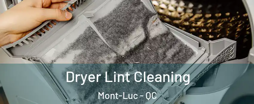  Dryer Lint Cleaning Mont-Luc - QC