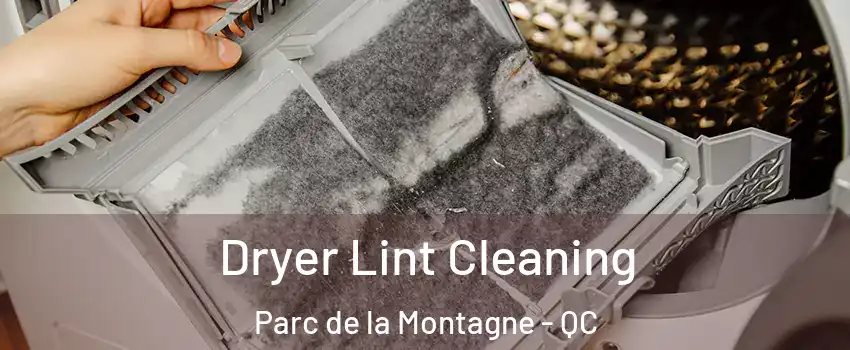  Dryer Lint Cleaning Parc de la Montagne - QC