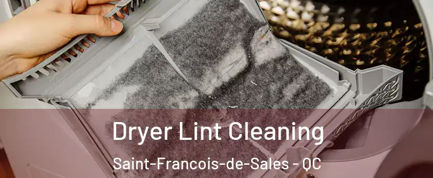  Dryer Lint Cleaning Saint-Francois-de-Sales - QC