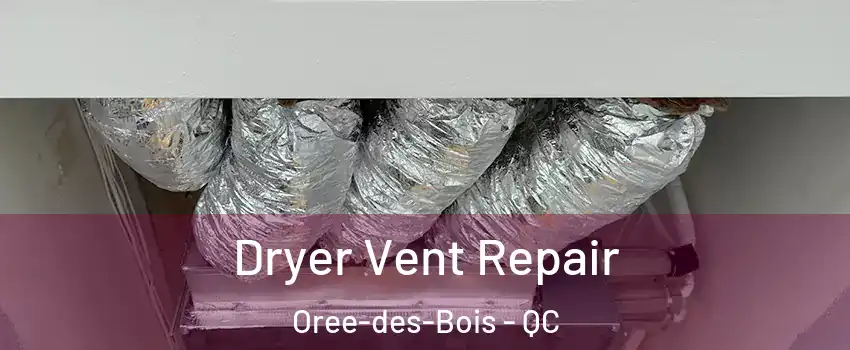  Dryer Vent Repair Oree-des-Bois - QC