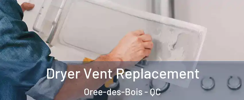  Dryer Vent Replacement Oree-des-Bois - QC