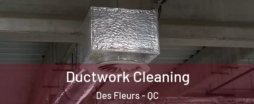  Ductwork Cleaning Des Fleurs - QC