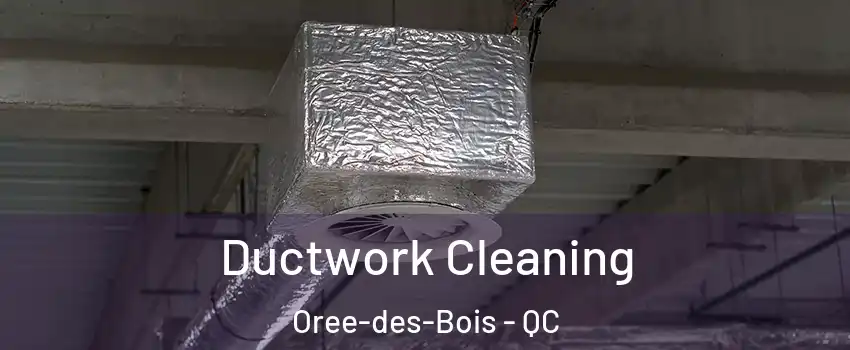  Ductwork Cleaning Oree-des-Bois - QC
