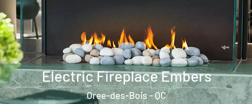  Electric Fireplace Embers Oree-des-Bois - QC