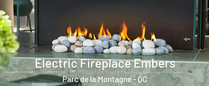  Electric Fireplace Embers Parc de la Montagne - QC