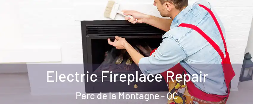  Electric Fireplace Repair Parc de la Montagne - QC